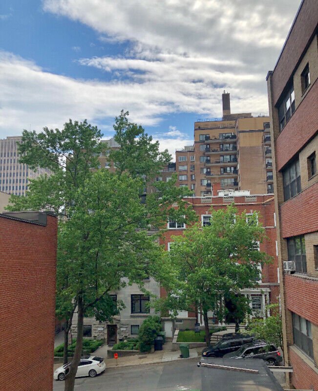 3455 Rue Stanley - Photo 11