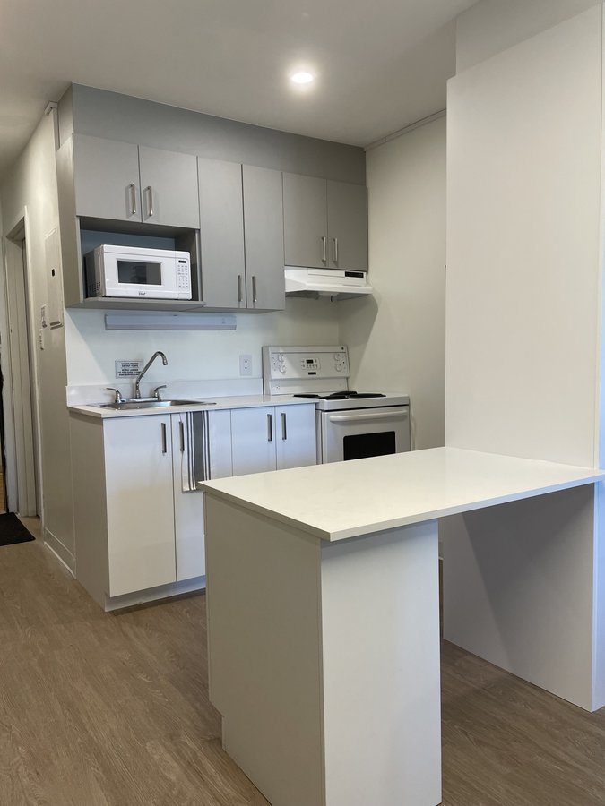 1300 Rue Ducas - Photo 8