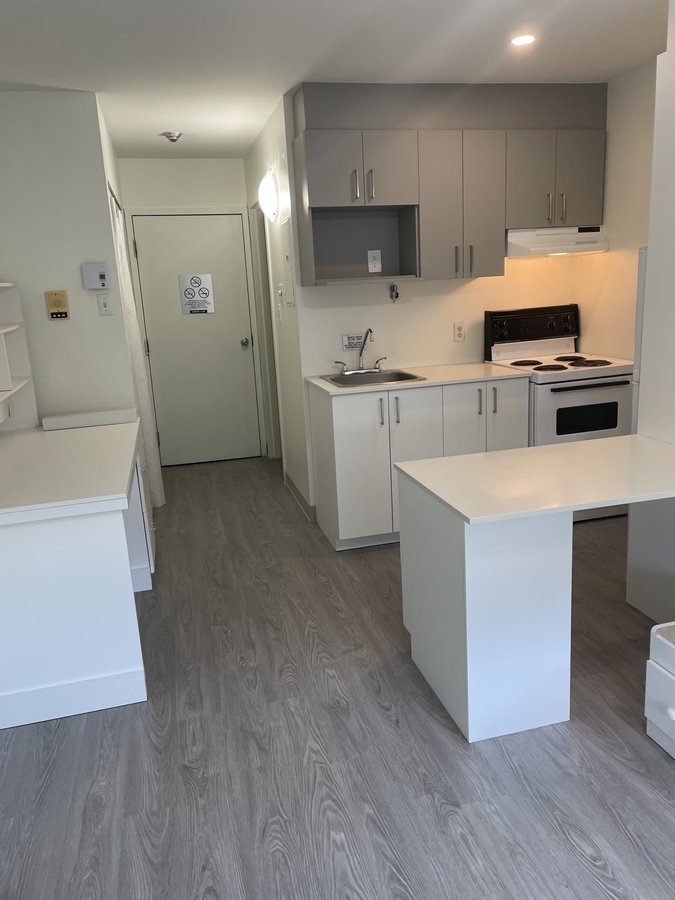 1300 Rue Ducas - Photo 14