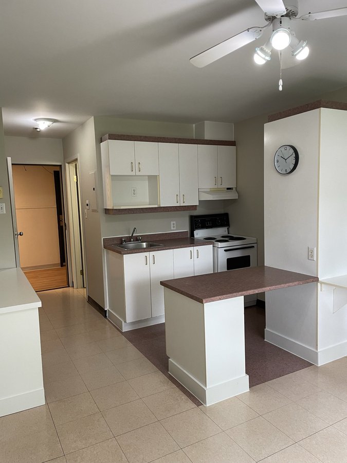 1300 Rue Ducas - Photo 3