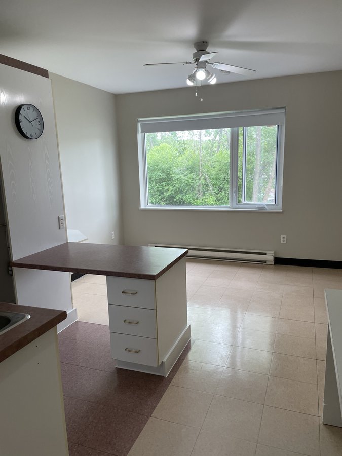 1300 Rue Ducas - Photo 6