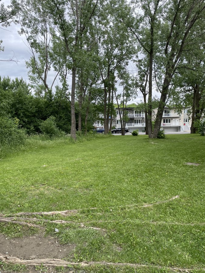 1300 Rue Ducas - Photo 7