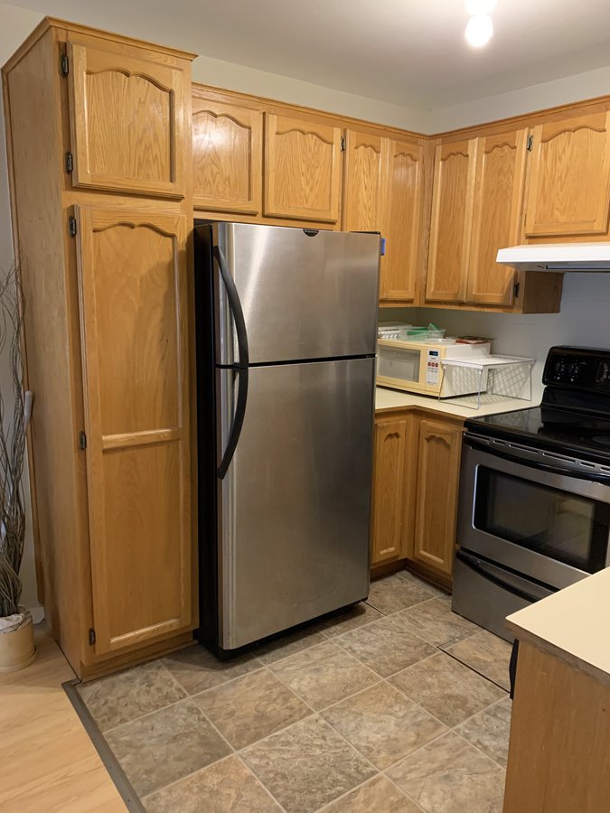 5245 Rue Saint-Hubert - Photo 10