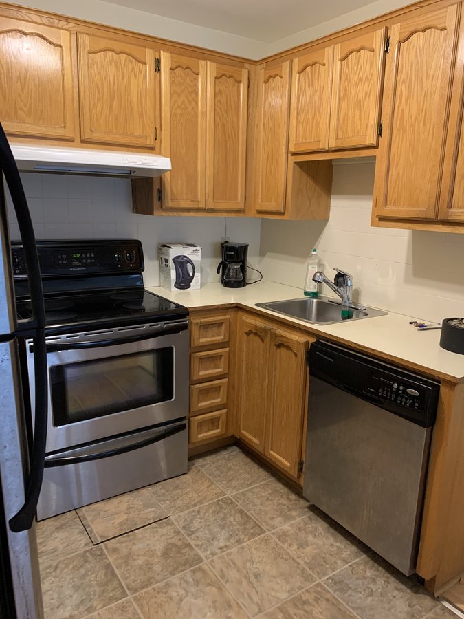 5245 Rue Saint-Hubert - Photo 11