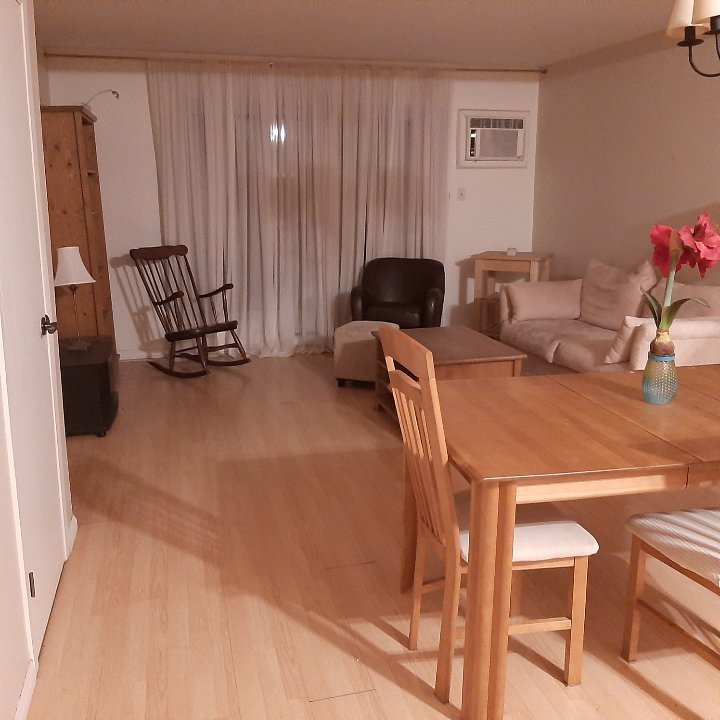 5245 Rue Saint-Hubert - Photo 6