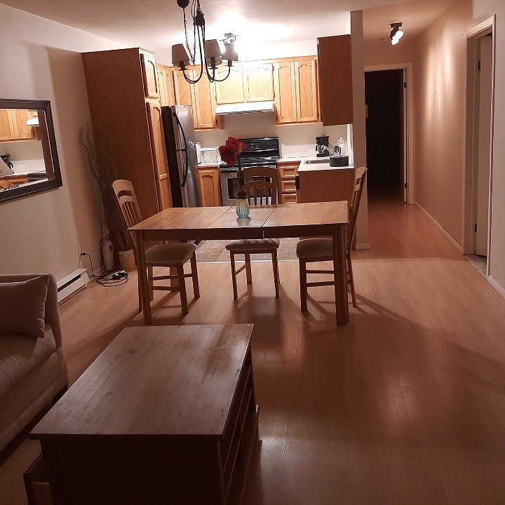 5245 Rue Saint-Hubert - Photo 7
