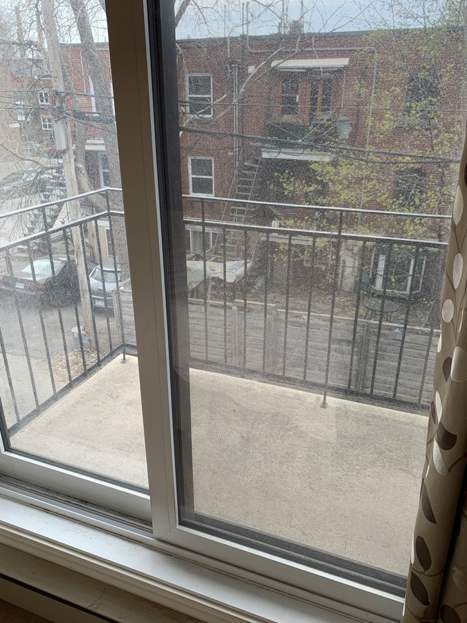 5245 Rue Saint-Hubert - Photo 15