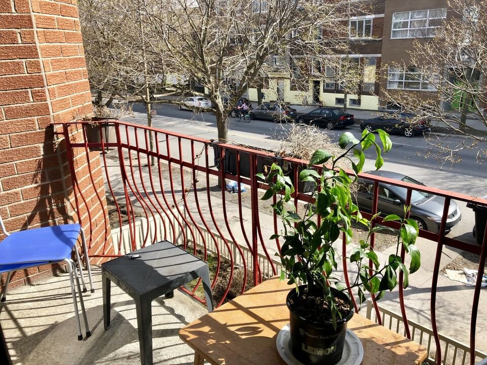 5245 Rue Saint-Hubert - Photo 8