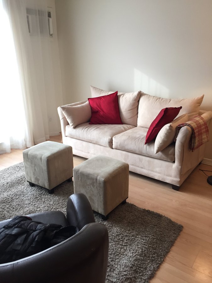 5245 Rue Saint-Hubert - Photo 4