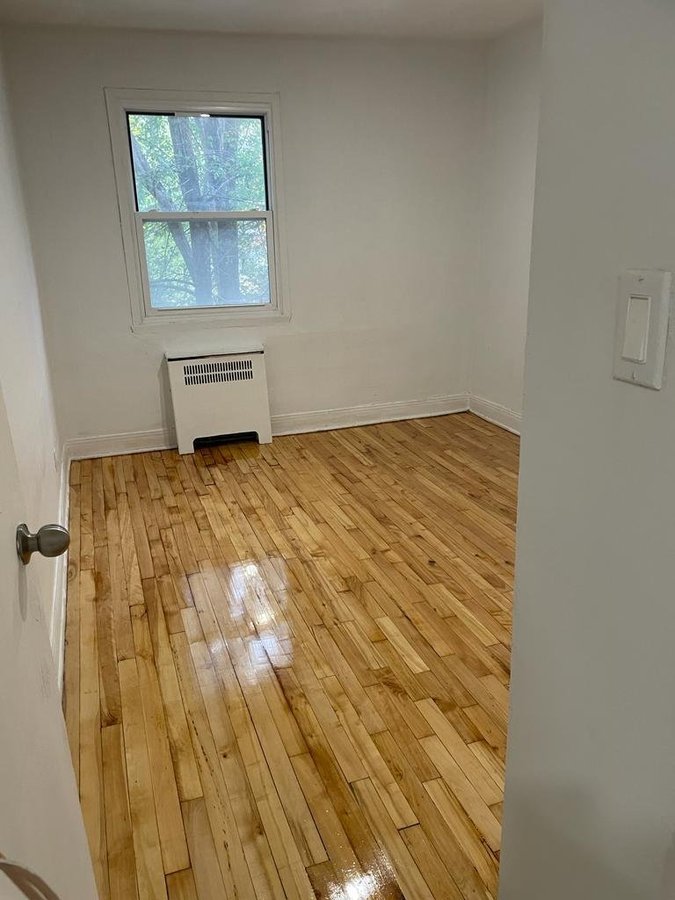 5175 Rue Saint-Hubert - Photo 2