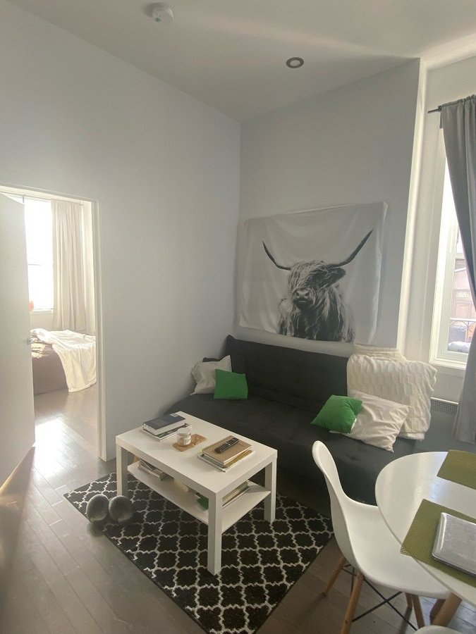429 Rue Prince Arthur Ouest - Photo 3
