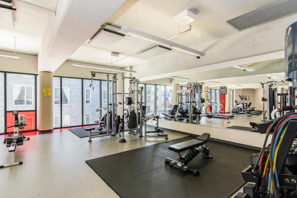 4239 Rue Jean-Talon Ouest - Photo 15