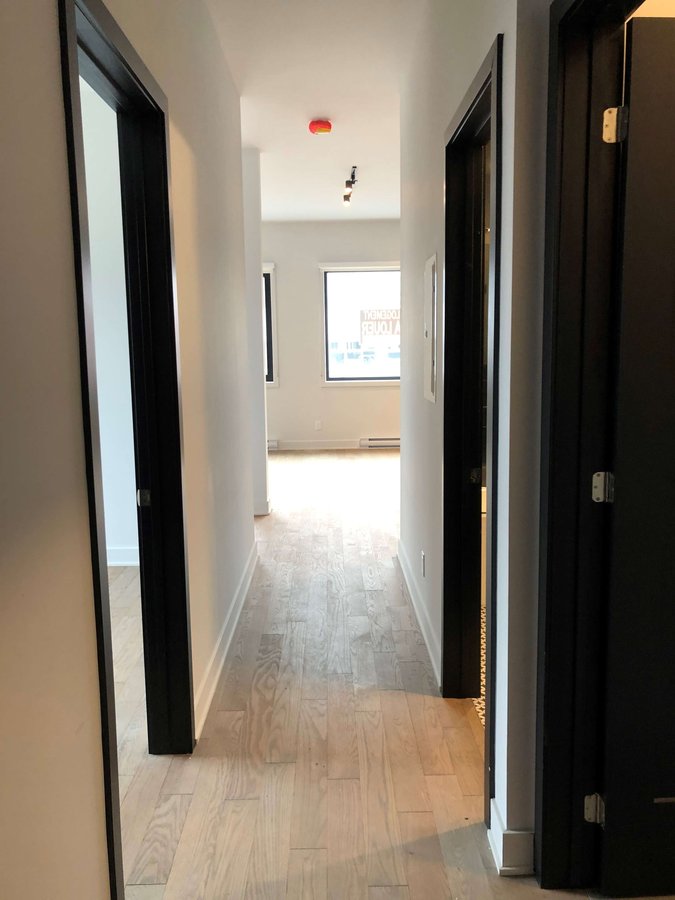 6904 Rue Hutchison - Photo 8