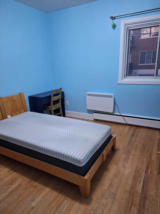 1255 Rue Chameran - Photo 21