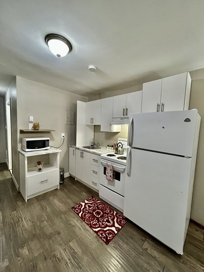 4555 Avenue du Parc - Photo 3