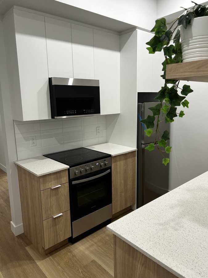 1230 Rue Bishop - Photo 12