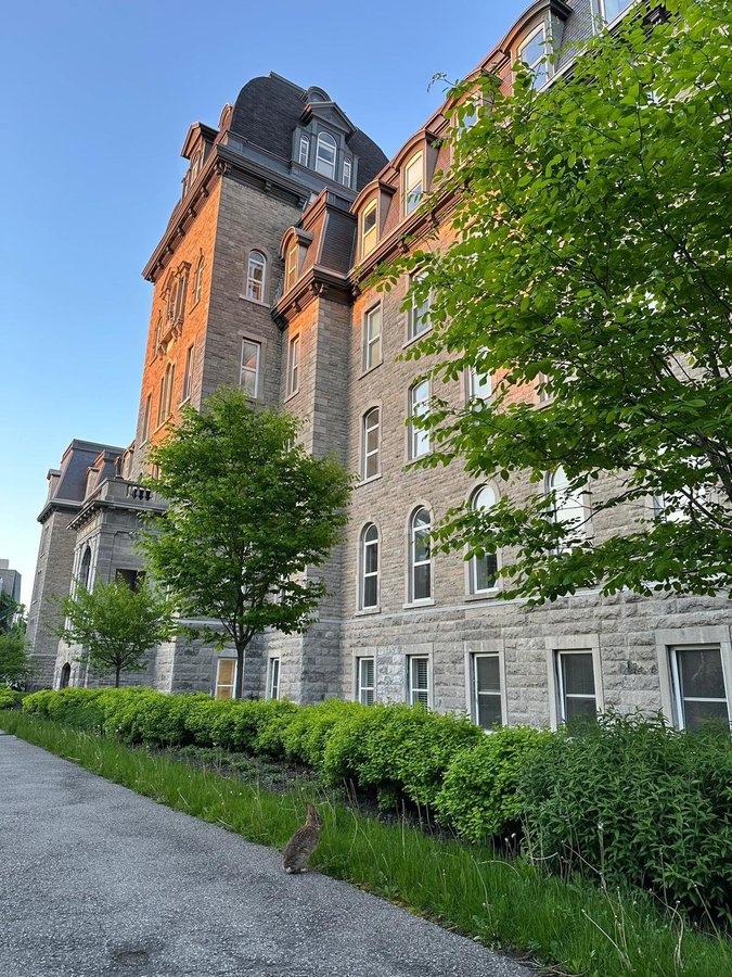 244 Rue Sherbrooke Est - Photo 11