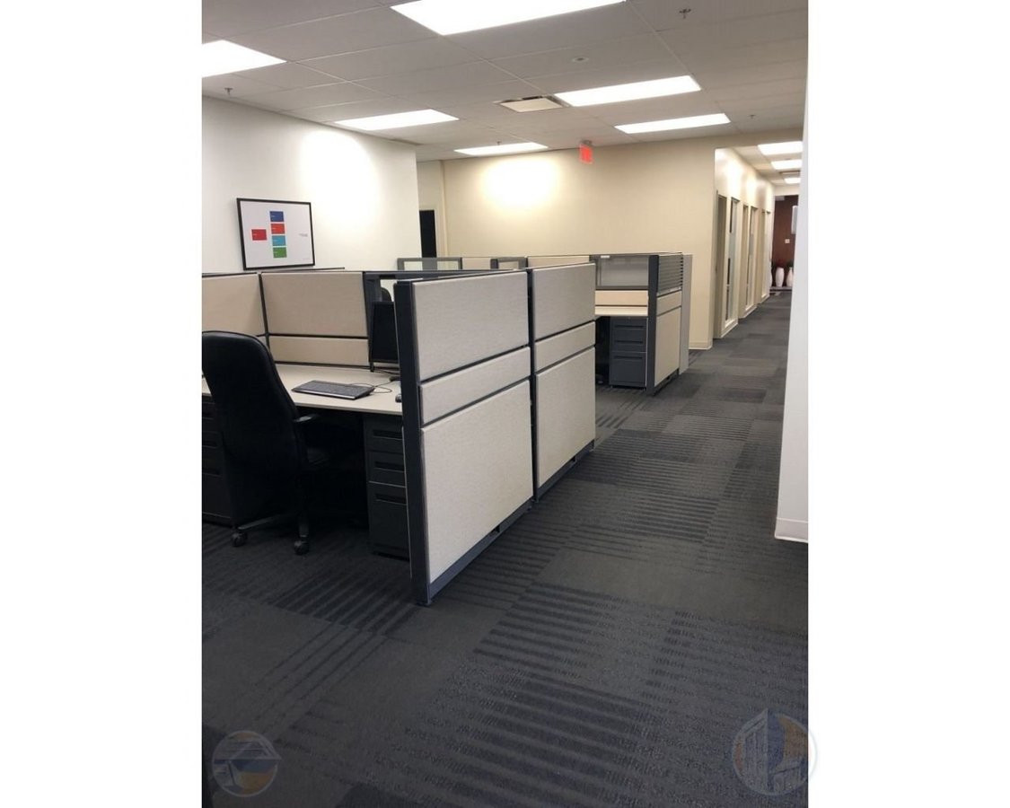 Rentals.ca Mount Royal Apartments, Condos and Houses For Rent