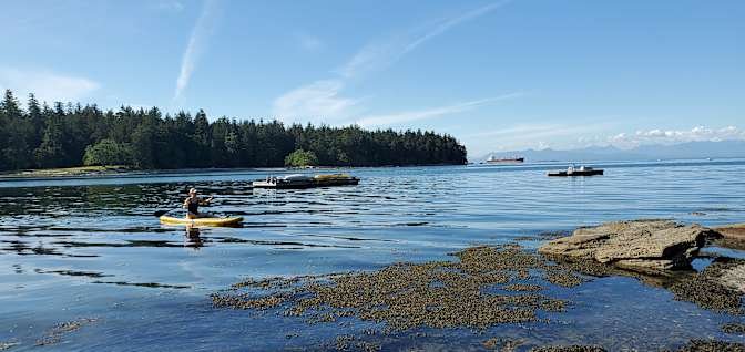 Protection Island - Photo 7