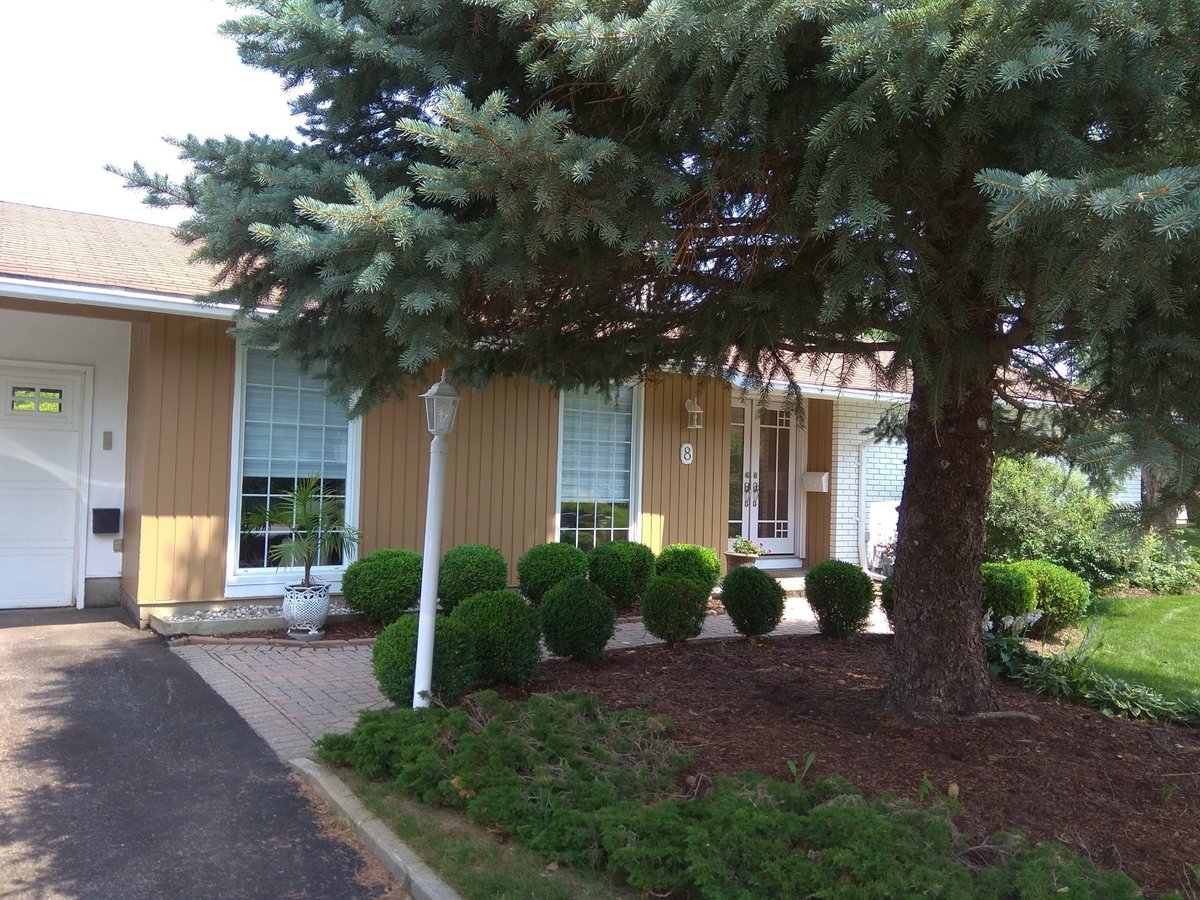 8 Birchview Road - Photo 1