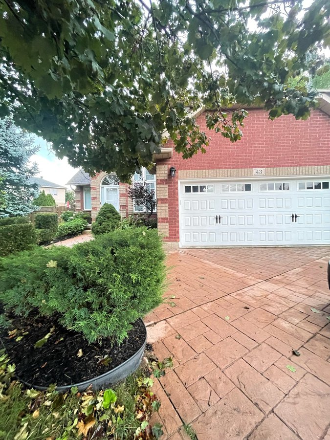 Hamilton Off Campus Student Housing Apartments Condos and Houses for Rent