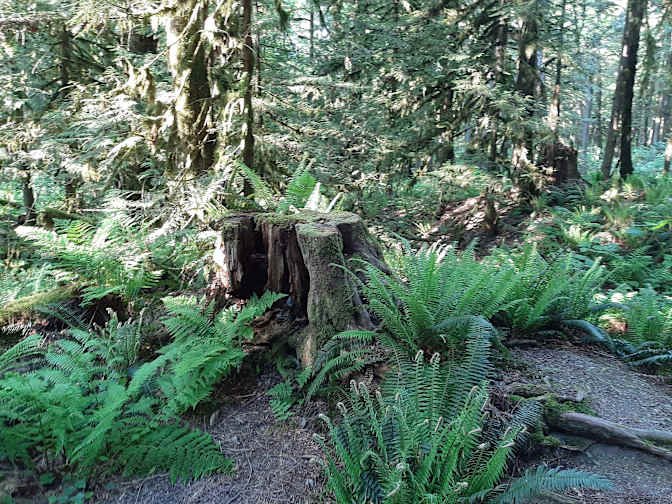 Brow of the Hill - Photo 5