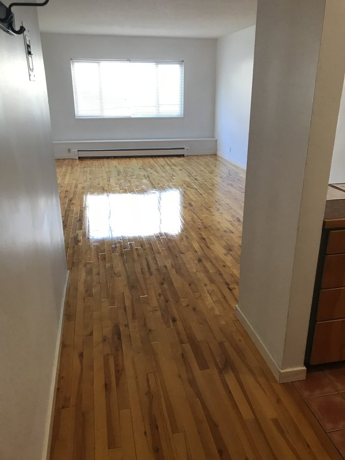 403 Agnes Street - Photo 7