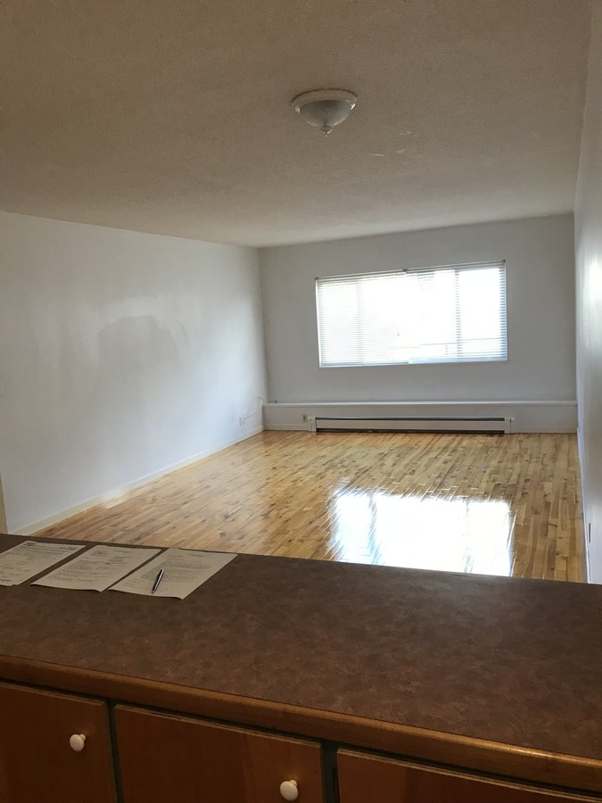403 Agnes Street - Photo 8