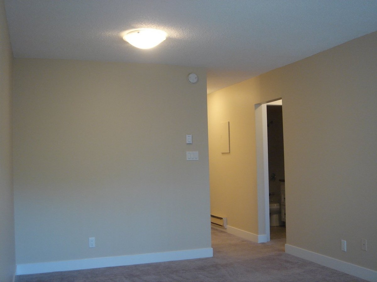 1009 3rd Avenue - Photo 2