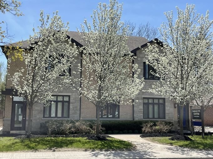 Rentals.ca Newmarket Apartments, Condos and Houses For Rent