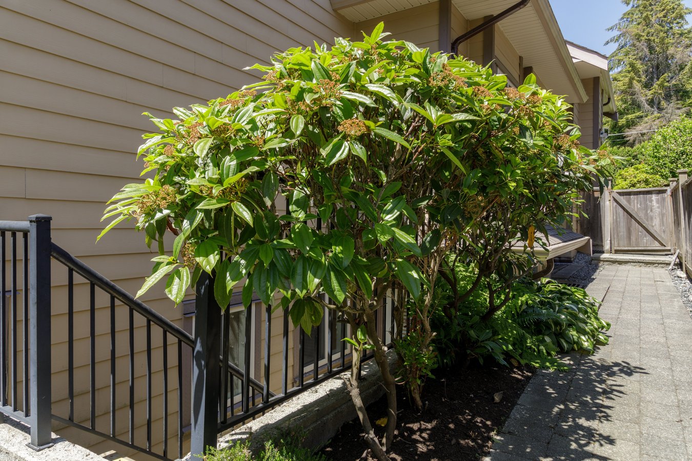 947 Belvista Crescent - Photo 29