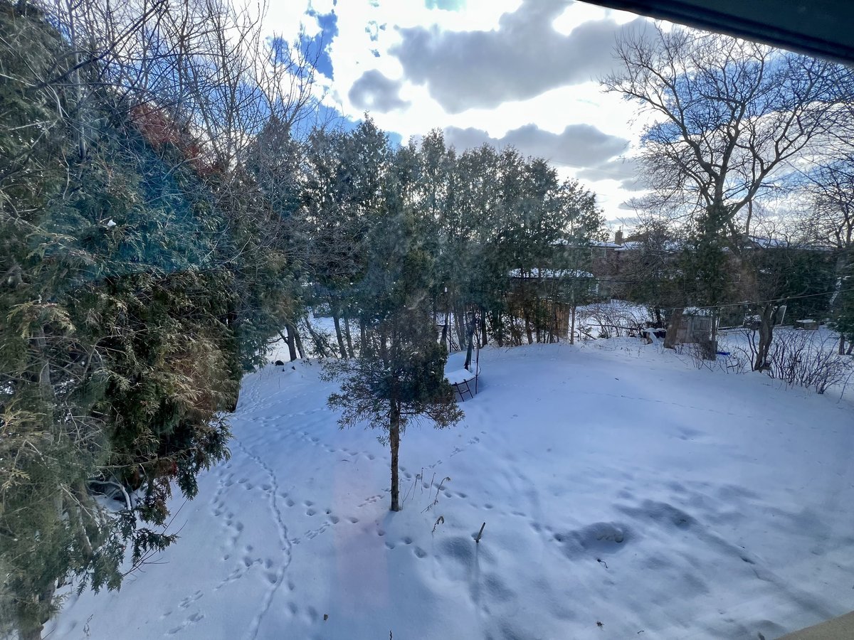 7 Dallas Road - Photo 29