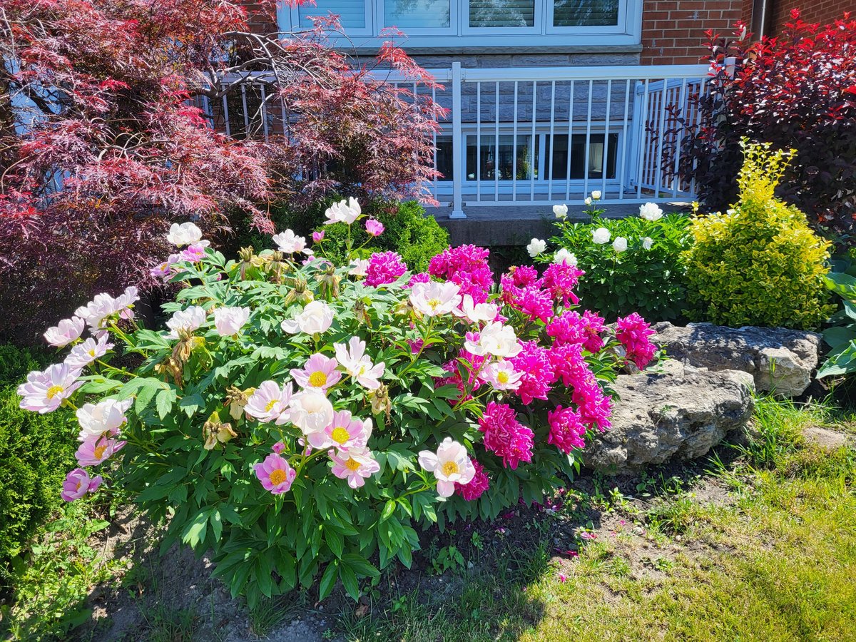 21 Fleetwood Avenue - Photo 15