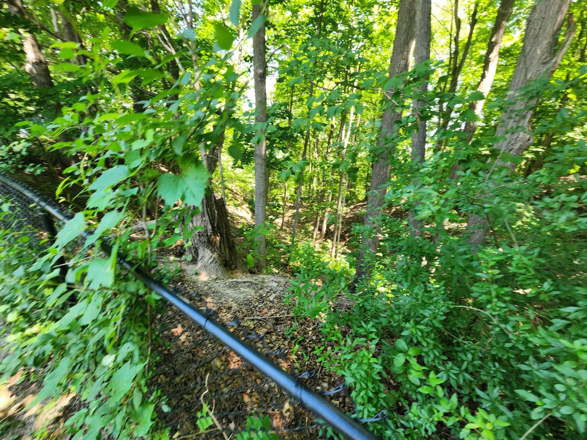 83 Page Avenue - Photo 13