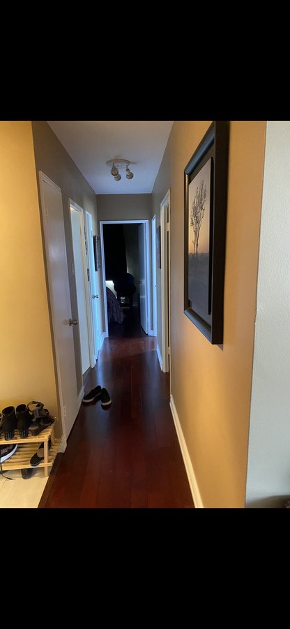 57 Neptune Drive - Photo 5