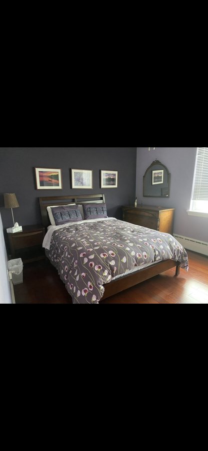 57 Neptune Drive - Photo 8