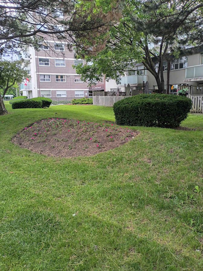 Parkwoods Village Drive - Photo 4