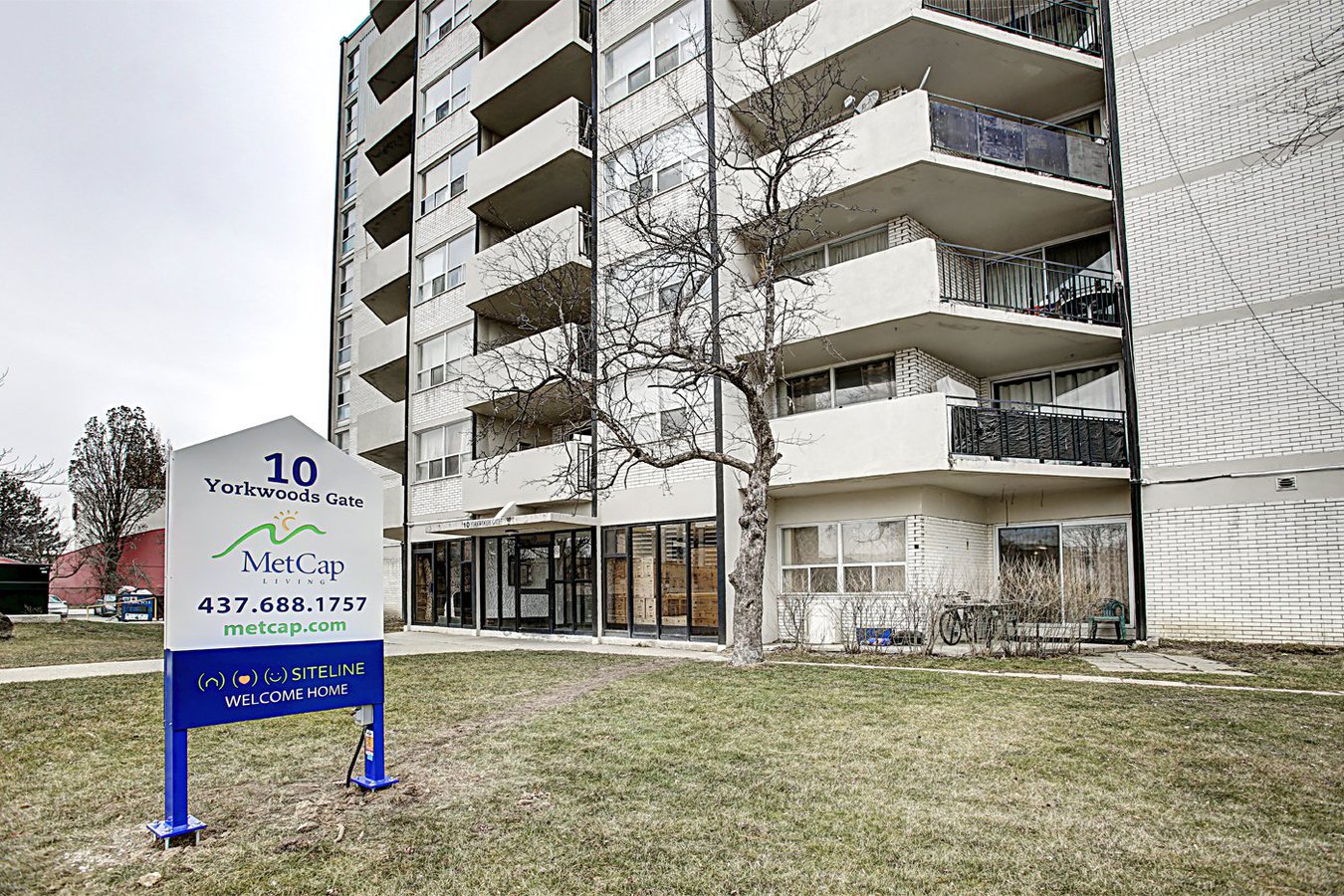 North York ON Apartments and Houses for Rent