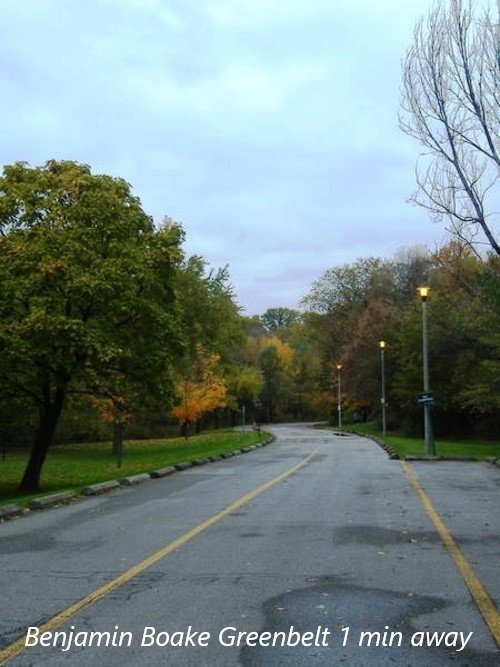10 Fredrick Mowat Lane - Photo 9