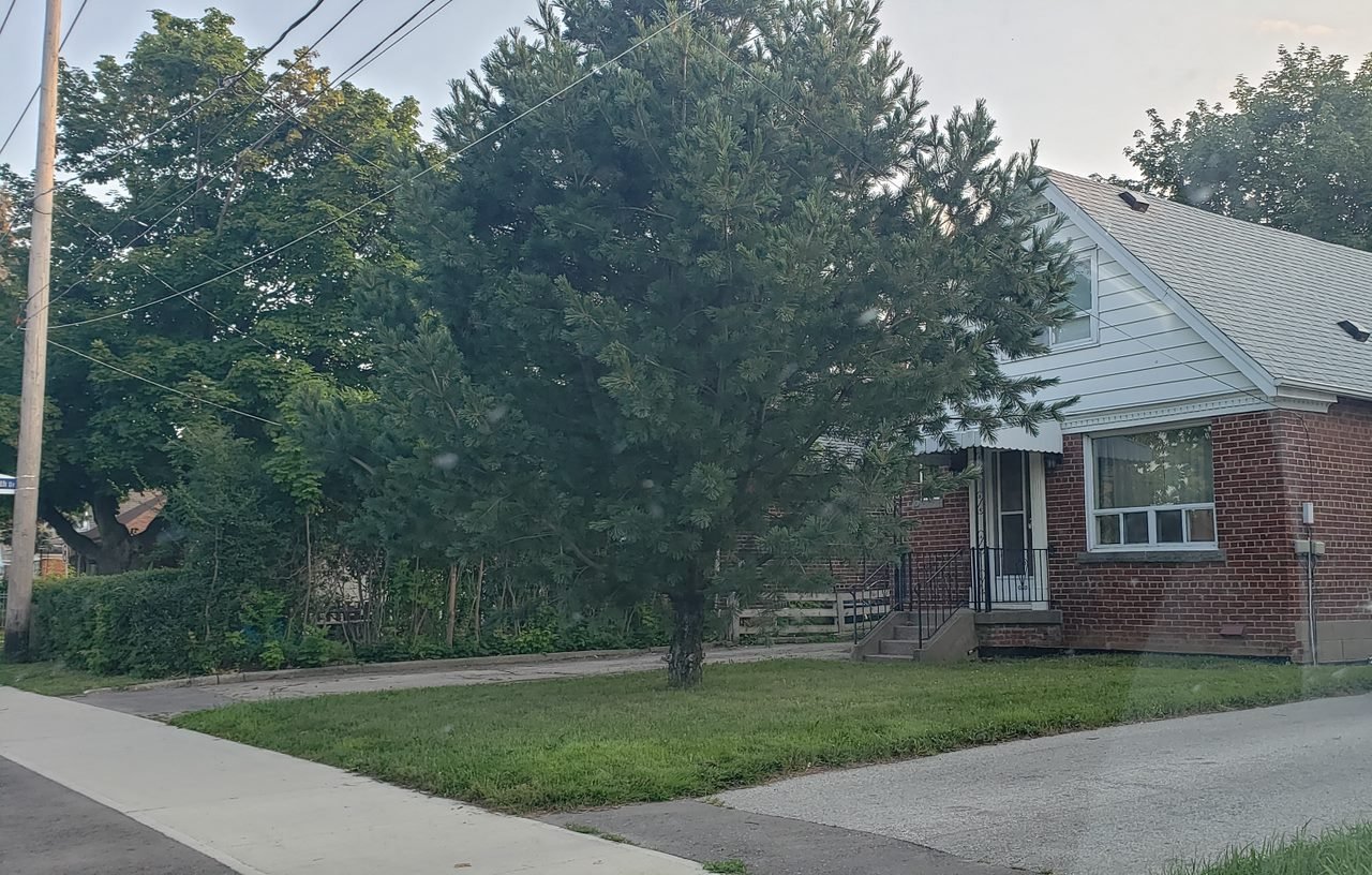 46 Brookhaven Drive - Photo 13