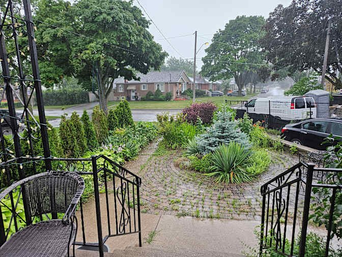 North York - Photo 1