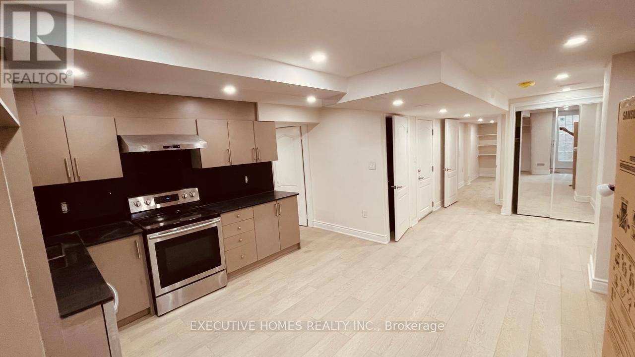 BASEMENT - 444 GRINDSTONE TRAIL - Photo 2