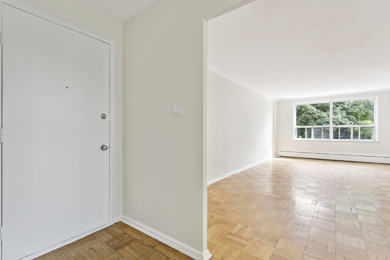 56 South Forster Park Drive - Photo 4