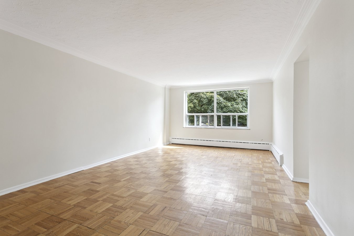 56 South Forster Park Drive - Photo 9