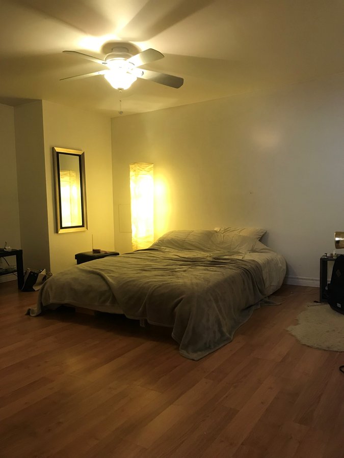 355 Rue Wilbrod Street - Photo 5