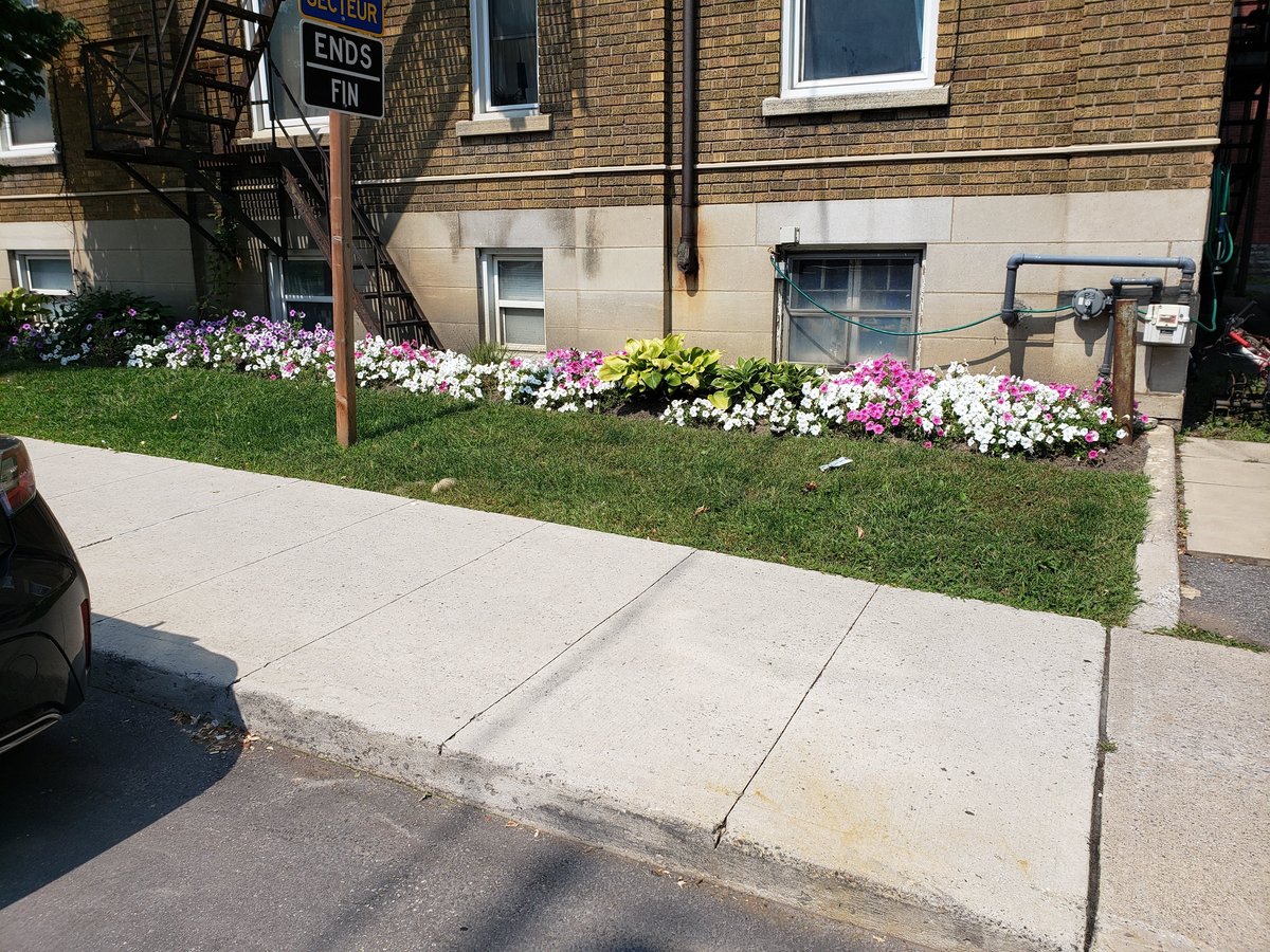 417 Elgin Street - Photo 7