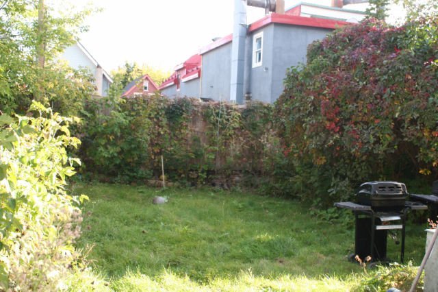 728 Cooper Street - Photo 13