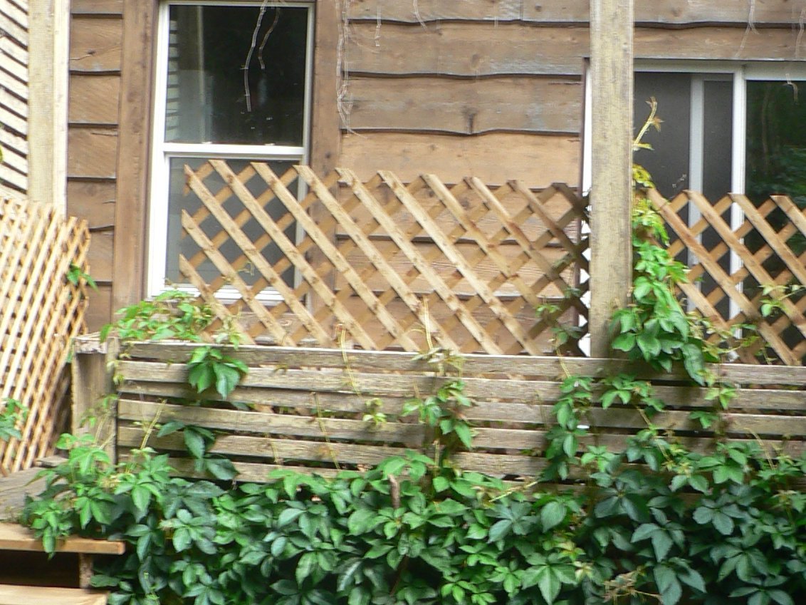 88 Spruce Street - Photo 6