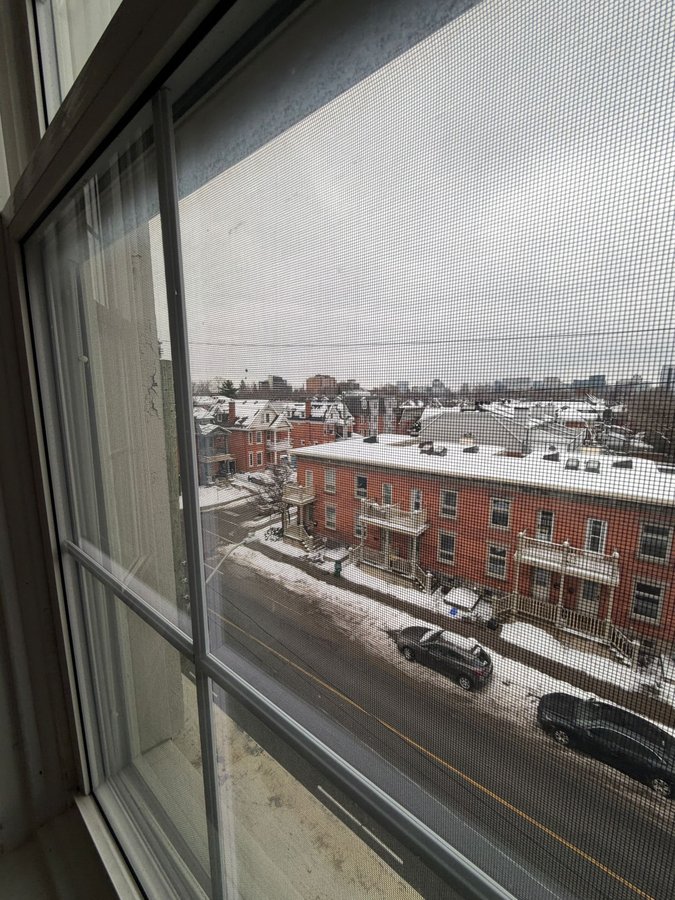 425 Daly Avenue - Photo 13