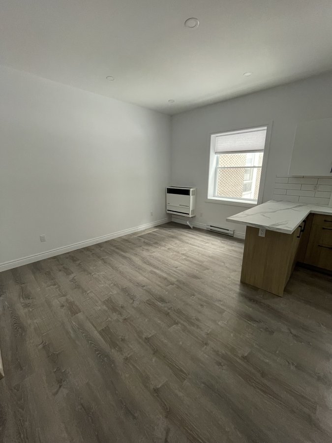 110 Gloucester Street - Photo 3